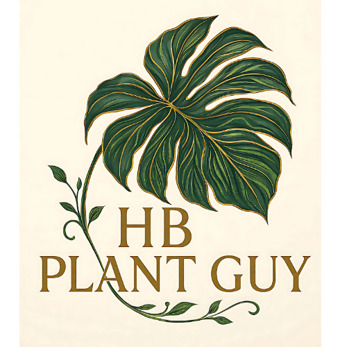 HB Plant Guy
